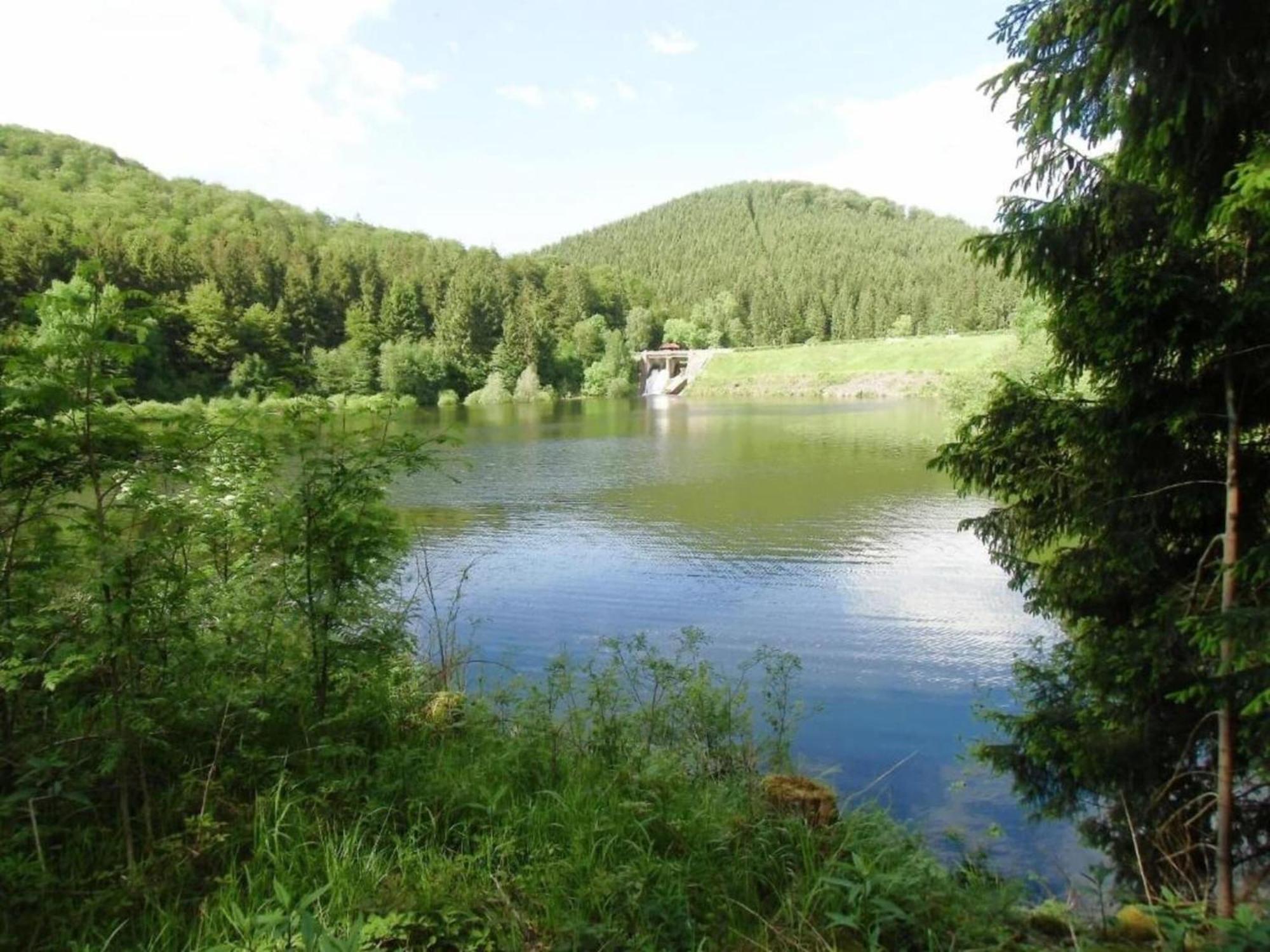 Detached Holiday Residence In The Wonderfully Beautiful Harz Kamschlacken Dış mekan fotoğraf